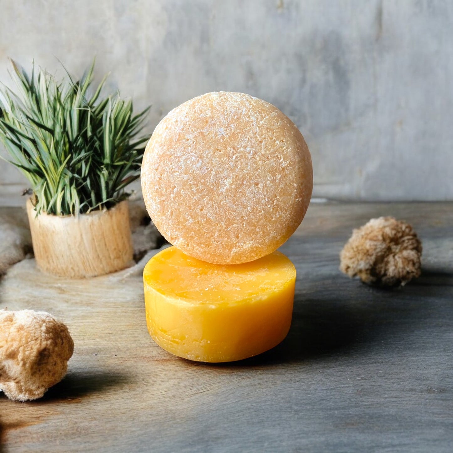 PINEAPPLE MANGO Healthy Hair Shampoo and Conditioner Bars