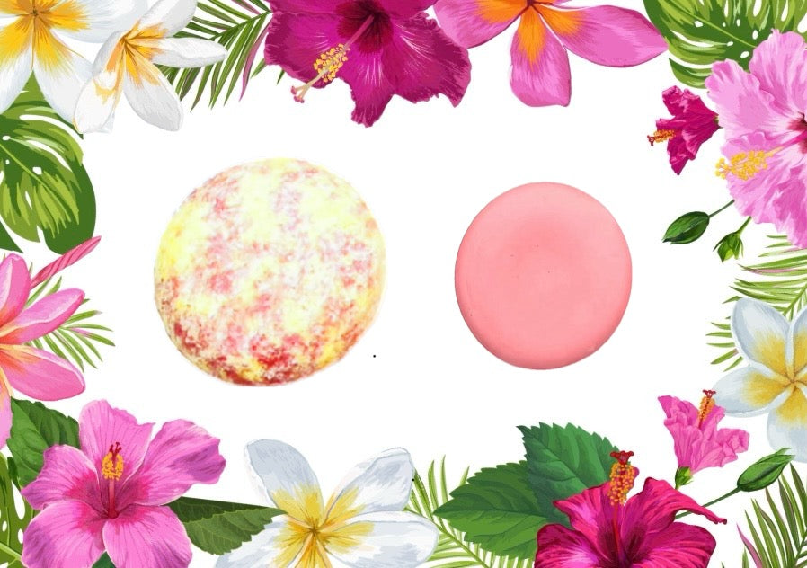 HIBISCUS Shampoo & Conditioner Bars