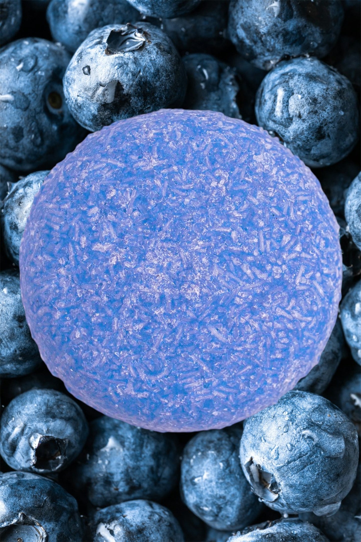 Botanical Blueberry Shampoo and Conditioner Bars